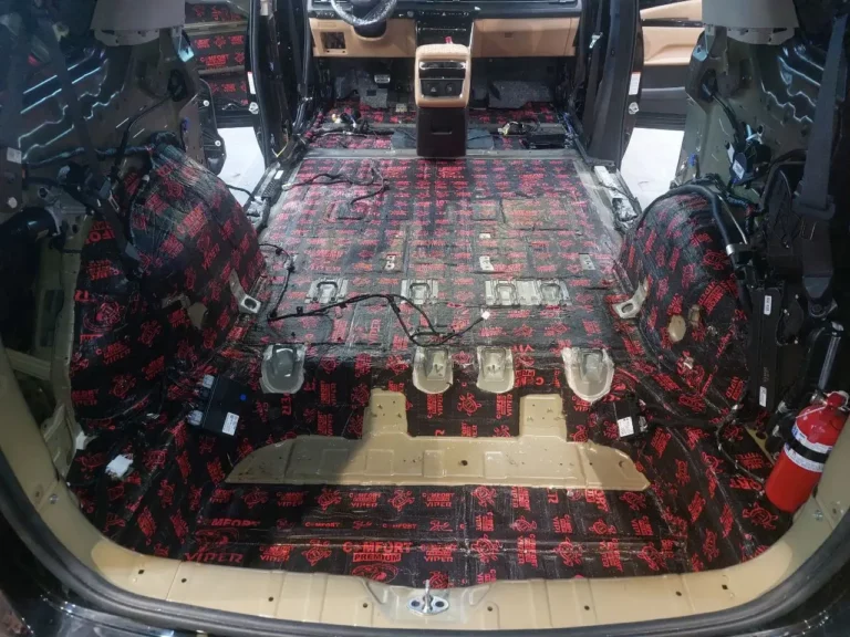 KIA Carnival баг 1